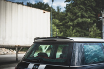 Mini Cooper / One R50 2001-2006 Vingextension V.1 Maxton Design